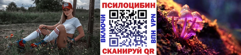 Галлюциногенные грибы Magic Shrooms  Камышин 